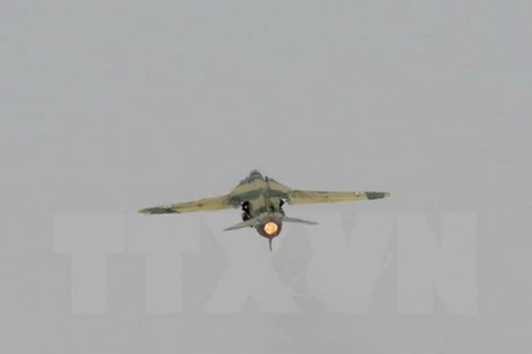Máy bay chiến đấu của Syria. (Nguồn: AFP/TTXVN)