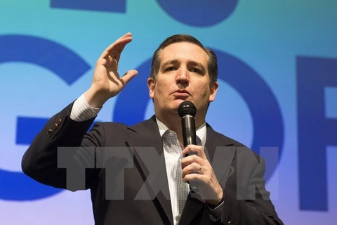 Thượng nghị sỹ Ted Cruz. (Nguồn: AFP/TTXVN)