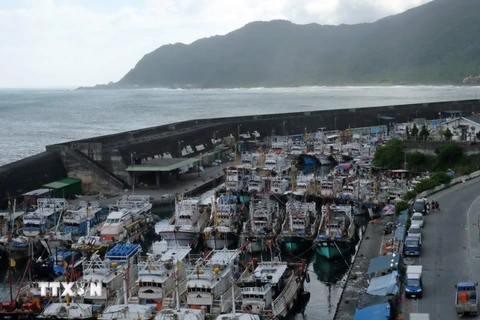 Neo đậu tàu thuyền tránh bão tại cảng Dasi, Nghi Lan, Đài Loan (Trung Quốc) ngày 26/9. (Nguồn: AFP/TTXVN) 