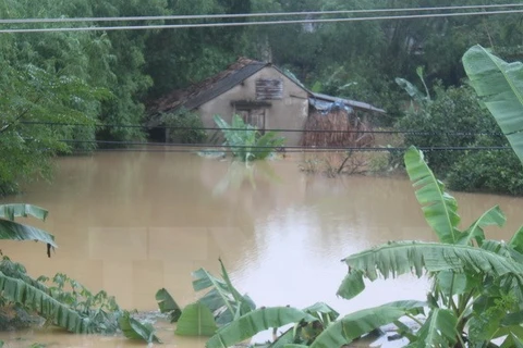 Nhiều hộ dân xã Hương Đô, huyện Hương Khê, tỉnh Hà Tĩnh bị ngập chìm trong nước lũ. (Ảnh: Phan Quân/TTXVN) 
