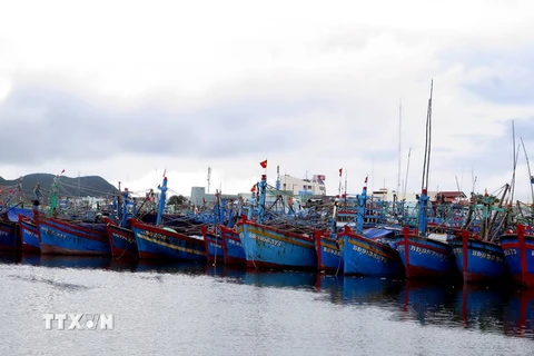 Tàu thuyền vào neo đậu tránh trú bão tại Cảng cá Quy Nhơn. (Ảnh: Viết Ý/TTXVN) 