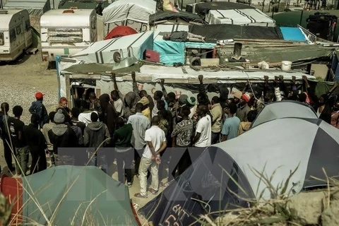 Người di cư xếp hàng nhận lương thực cứu trợ tại Calais, Pháp ngày 22/8. (Nguồn: AFP/TTXVN)