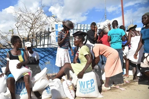 Người dân Haiti nhận hàng cứu trợ sau bão Matthew ở Les Cayes, ngày 12/10. (Nguồn: AFP/TTXVN)