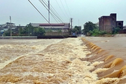 (Ảnh minh họa: Nguyễn Hoàng/TTXVN)