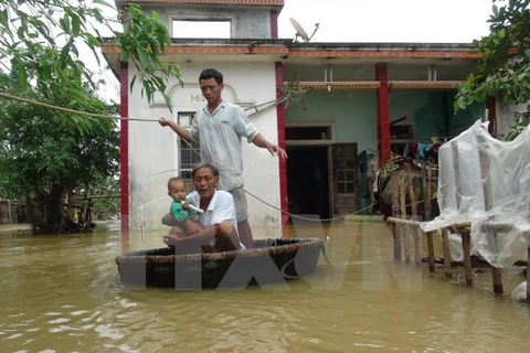 Người dân tại các xã vùng Nam Thị xã Ba Đồn, Quảng Bình phải dùng thúng để di chuyển trong vùng ngập lụt. (Ảnh: Đức Thọ/TTXVN)