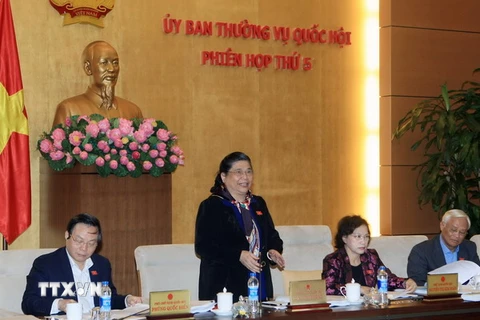 Phó Chủ tịch Quốc hội Tòng Thị Phóng phát biểu tại buổi thảo luận. (Ảnh: Phạm Kiên/TTXVN)
