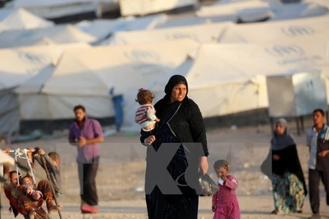 Người dân Iraq sơ tán khỏi khu vực chiến sự thành phố Mosul tới sống ở các trại tị nạn thị trấn al-Hol, tỉnh Hasakeh, Syria, ngày 17/10. (Nguồn: AFP/TTXVN)