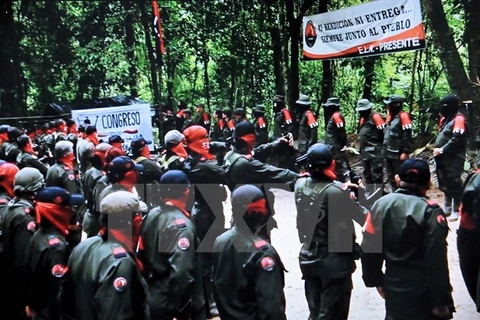 Các thành viên nhóm du kích Quân đội giải phóng dân tộc Colombia (ELN). (Nguồn: AFP/TTXVN)