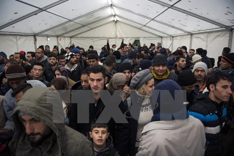 Người tị nạn chờ để đăng ký xin tị nạn. (Nguồn: AFP/TTXVN)