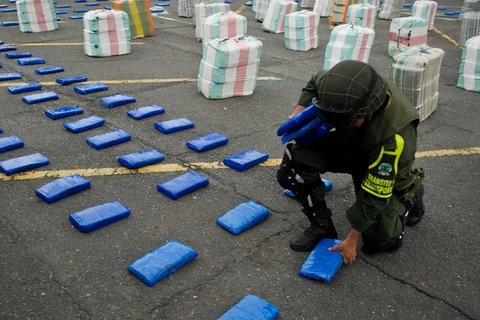 Cảnh sát Colombia thu giữ 5,6 tấn cần sa trong một chiến dịch truy quét các phần tử buôn lậu ma túy ở nước này. (Ảnh: AFP/TTXVN) 