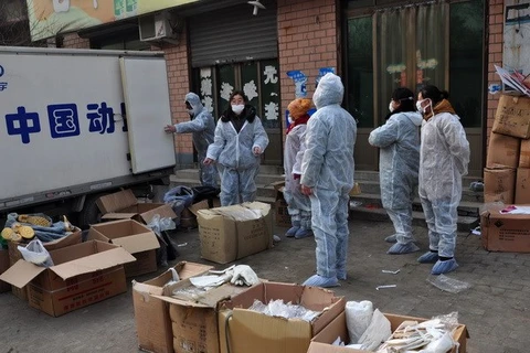 Tiêu hủy gia cầm bị nhiễm bệnh tại Trung Quốc. (Ảnh: AFP/TTXVN)
