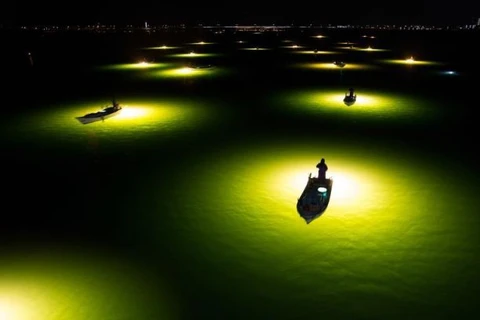 Ánh sáng kỳ ảo từ các tàu thuyền thu hút cá chình Shirasu vào ban đêm ở Tokushima, Nhật Bản. (Nguồn: NatGeo)