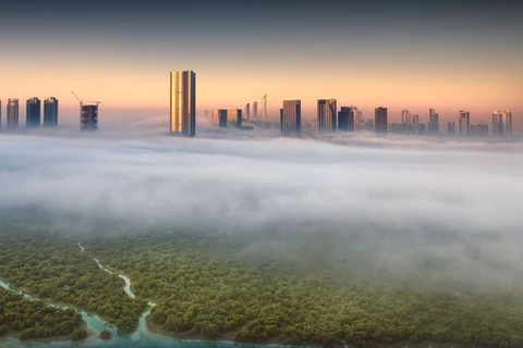 Đường chân trời của Abu Dhabi, UAE qua sương mù trên những cánh rừng ngập mặn ở dưới. (Nguồn: NatGeo)