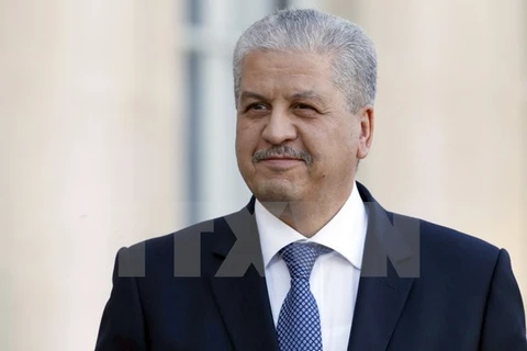Thủ tướng Algeria Abdelmalek Sellal. (Nguồn: AFP/TTXVN)