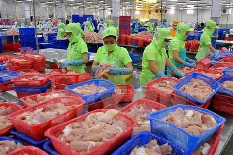 Chế biến cá tra xuất khẩu tại Công ty Hùng Cá, thành phố Cao Lãnh, tỉnh Đồng Tháp. (Ảnh: An Hiếu/TTXVN)
