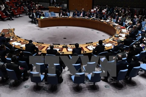 Một phiên họp của Hội đồng Bảo an Liên hợp quốc. (Nguồn: AFP/TTXVN)