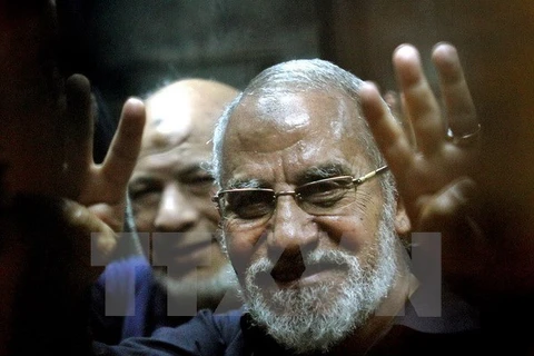 Thủ lĩnh tinh thần tối cao của Phong trào Anh em Hồi giáo (MB) Mohamed Badie. (Nguồn: AFP/TTXVN)