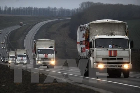 Đoàn xe chuyển hàng viện trợ của Nga. (Ảnh: AFP/TTXVN)