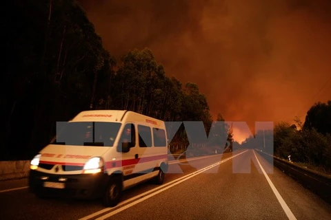 Hiện trường vụ cháy rừng ở Pedrogao Grande, Bồ Đào Nha (Nguồn: EPA/TTXVN)