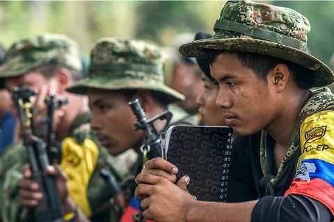 Thành viên Lực lượng Vũ trang cách mạng Colombia. (Nguồn: AFP)