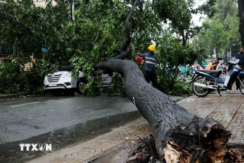 Ảnh minh họa. (Nguồn: TTXVN)