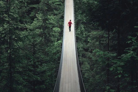 Cầu treo Capilano Suspension ở Canada. (Nguồn: NatGeo)
