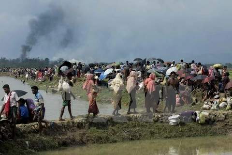 Người tị nạn Rohingya tại khu vực Ukhia, trên biên giới Bangladesh-Myanmar sau khi rời bỏ nhà cửa tránh xung đột ở Rakhine. (Nguồn: AFP/TTXVN)