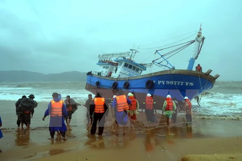 Tàu vỏ thép của ngư dân Phú Yên bị sóng đánh dạt vào bờ biển Quy Nhơn. (Ảnh: Nguyên Linh/TTXVN)