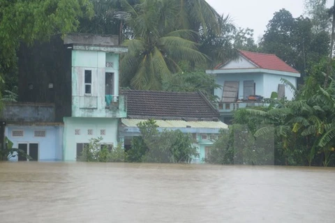 Nhiều ngôi nhà của người dân trên địa bàn huyện Hòa Vang, Đà Nẵng chìm sâu trong nước. (Ảnh Đinh Văn Nhiều/TTXVN)
