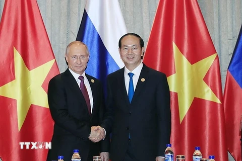 Chủ tịch nước Trần Đại Quang gặp Tổng thống Nga Vladimir Putin. (Ảnh: TTXVN)
