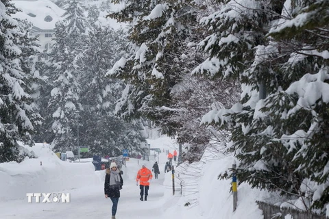Tuyết rơi dày đặc tại Davos, Thụy Sĩ ngày 22/1. (Nguồn: THX/TTXVN)