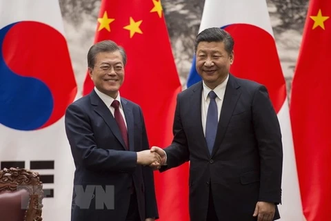 Chủ tịch Trung Quốc Tập Cận Bình (phải) và Tổng thống Hàn Quốc Moon Jae-in (trái) trong cuộc gặp tại Bắc Kinh, Trung Quốc. (Nguồn: AFP/TTXVN)