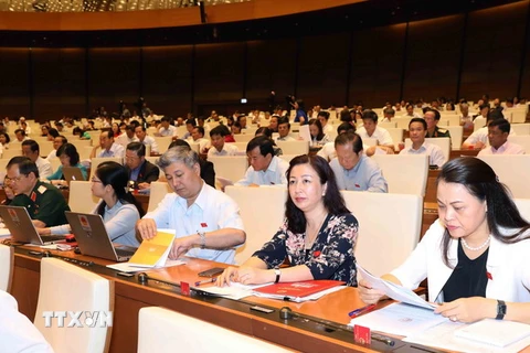 Các đại biểu Quốc tại phiên thảo luận ở hội trường về dự án Luật Tố cáo (sửa đổi). (Ảnh: Phương Hoa/TTXVN)