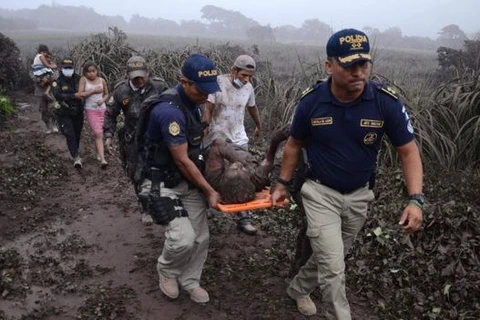 Vận chuyển người bị thương sau khi núi lửa phun trào. (Nguồn: AFP)