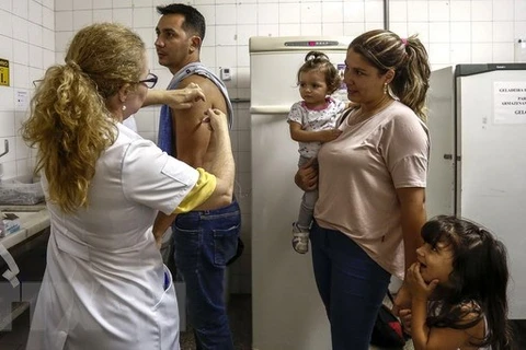 Tiêm phòng sốt vàng da cho người dân tại Sao Paolo, Brazil. (Nguồn: AFP/TTXVN)