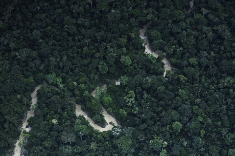 Một góc rừng Amazon nhìn từ trên cao. (Nguồn: Reuters)