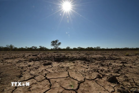  Cảnh khô hạn tại thị trấn Walgett, Australia. (Ảnh: AFP/TTXVN)