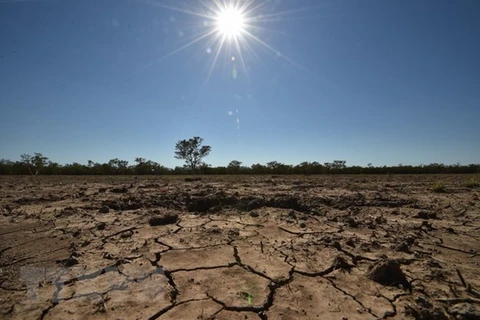 Cảnh khô hạn tại thị trấn Walgett, Australia. (Ảnh: AFP/TTXVN)