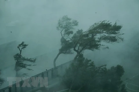 Gió lớn do ảnh hưởng của bão Mangkhut tại Hong Kong, Trung Quốc ngày 16/9. (Ảnh: THX/TTXVN) 