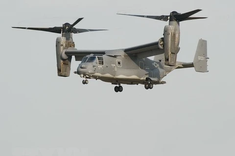 Máy bay CV-22 Osprey của lực lượng Không quân Mỹ. (Nguồn: AFP/TTXVN)