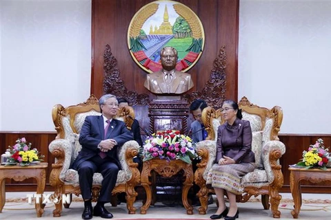Thường trực Ban Bí thư Trần Quốc Vượng hội kiến Chủ tịch Quốc hội Lào Pany Yathotou. (Ảnh: Phạm Kiên/TTXVN)