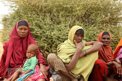 Người dân Somalia đợi nhận lương thực cứu trợ tại Hiran, Somalia. (Nguồn: Anadolu/ AFP/TTXVN)