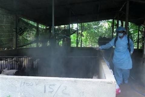 Nhân viên thú y phun tiêu độc, khử trùng tại chuồng nuôi lợn của người dân. (Nguồn: TTXVN)