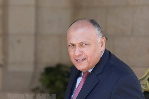 Ai Cập: Syria cần theo đuổi giải pháp chính trị để trở lại AL