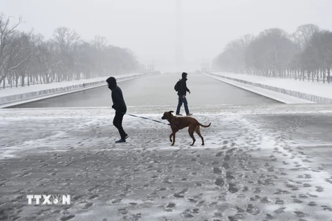 Tuyết phủ trắng xóa tại Washington D.C., Mỹ, ngày 20/2/2019. (Ảnh: THX/TTXVN)