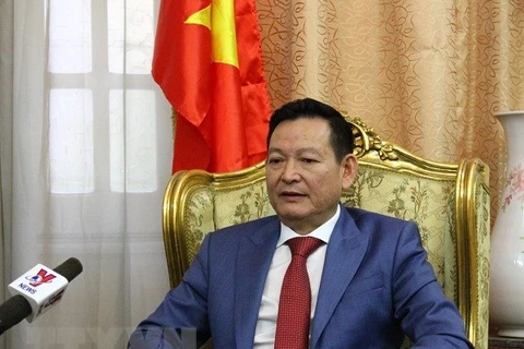 Đại sứ Việt Nam tại Ai Cập Trần Thành Công. (Ảnh: Việt Khoa/TTXVN)
