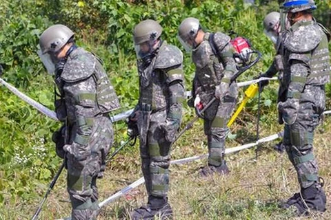 Binh sỹ Hàn Quốc rà tim bom mìn tại khu DMZ. (Nguồn: AP)