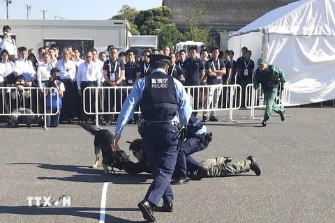 Cảnh sát khống chế hung thủ vụ tấn công bằng dao tại trường tiểu học tỉnh Hồ Nam ngày 3/4/2019. (Ảnh: Sixthtone/ TTXVN)