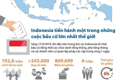 [Infographics] Indonesia tổ chức bầu cử lớn lần đầu tiên trong lịch sử