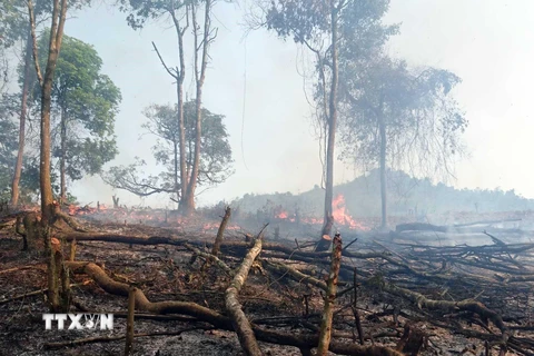 Cháy rừng do người dân đốt nương làm rẫy tại huyện Phong Thổ, tỉnh Lai Châu. (Ảnh: Quý Trung/TTXVN)